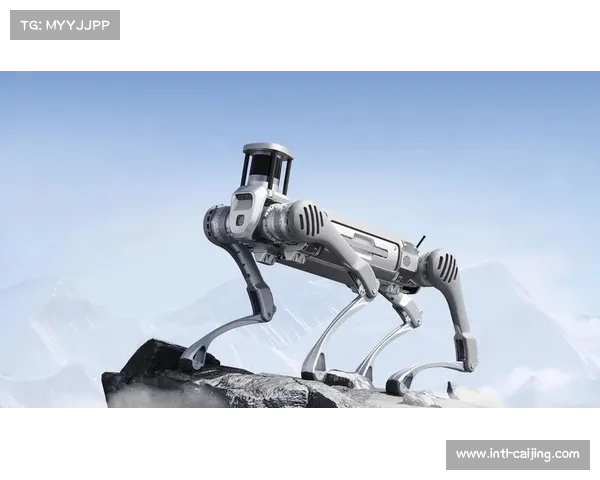 四足机器狗执行巡检任务 适应复杂地形