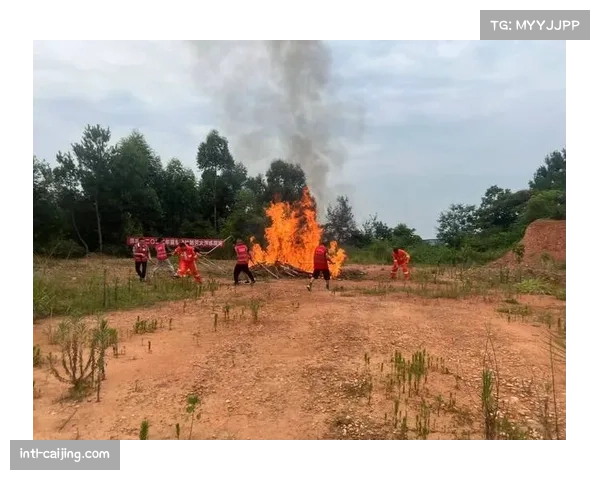 十人应战守住胜局，解析热那亚钢铁防线的组织纪律性